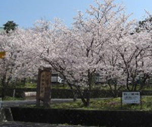 月山富田城 月山富田城