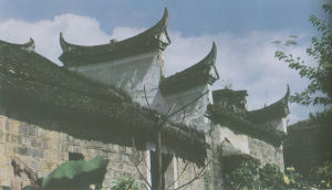 龍潭岩板村 龍潭岩板村