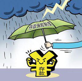 存款保險制度 存款保險制度
