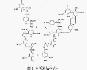 生物纖維酶 生物纖維酶