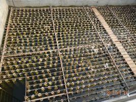 生物接觸氧化法 生物接觸氧化法