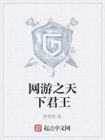 網遊之天下君王 網遊之天下君王
