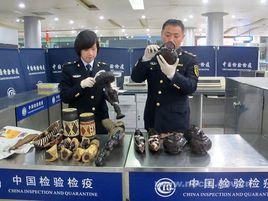 出入境檢驗檢疫 出入境檢驗檢疫