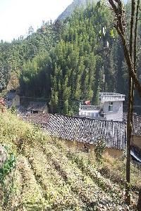 大嶺頭村 大嶺頭村