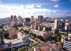 新安街道 新安街道