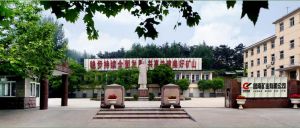 萊蕪鋼鐵集團魯南礦業有限公司