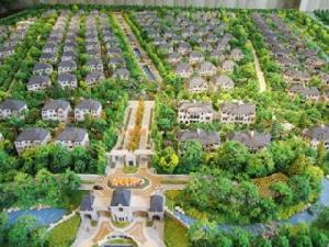 尚湖玫瑰園 尚湖玫瑰園