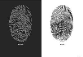 指紋模板 指紋模板