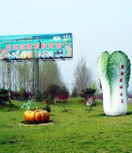 兗州國際農科奇觀景區 兗州國際農科奇觀景區