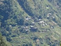 那巴朵村 那巴朵村