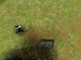 卡斯托冒險 卡斯托冒險