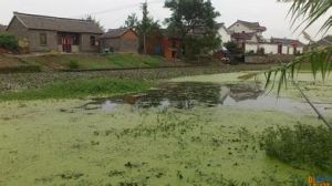 後西舍村 後西舍村