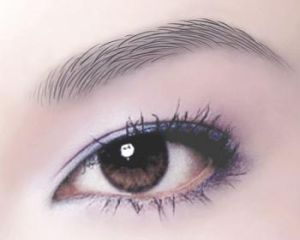 缺眉修復術 缺眉修復術