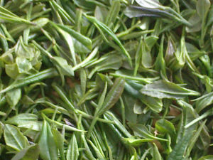 泰山女兒茶 泰山女兒茶