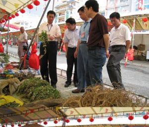 靖西壯族端午藥市