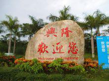 興隆鄉[安徽省旌德縣興隆鄉]