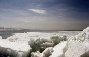 《多彩家園》劇照