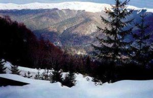 喀爾巴阡山 喀爾巴阡山