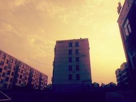 址坊村[臨沂市莒南縣朱蘆鎮址坊村]