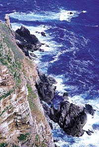 開普敦半島景點