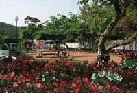 黑沙公園 黑沙公園