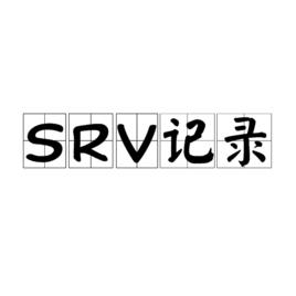 SRV記錄 SRV記錄