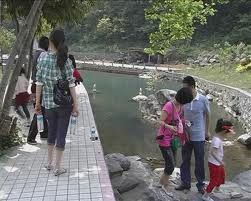 羅洞村[江西省九江市武寧縣清江鄉下轄村]