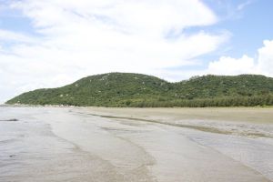 珠海銀沙灘生態園 珠海銀沙灘生態園
