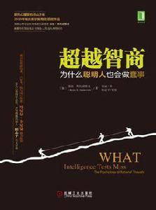 超越智商:為什麼聰明人也會做蠢事 超越智商:為什麼聰明人也會做蠢事