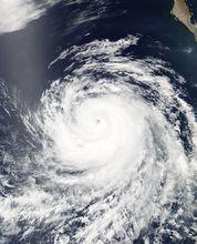 颶風法維奧 衛星雲圖