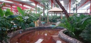 金孔雀溫泉歡樂水世界 金孔雀溫泉歡樂水世界