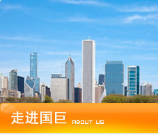 國巨投資控股集團有限公司 國巨投資控股集團有限公司