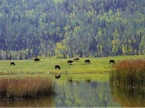 吉木乃口岸旅遊區 吉木乃口岸旅遊區