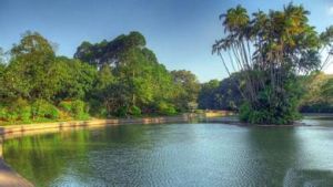 武吉知馬自然保護區 武吉知馬自然保護區