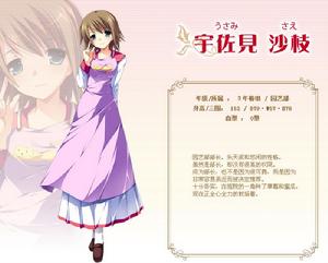 花與少女的祝福[遊戲]