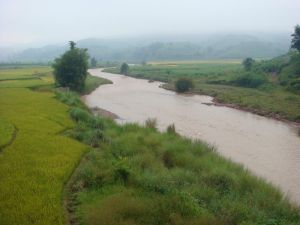 綜合社自然村 綜合社自然村