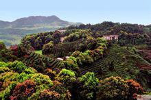 駱來山風景區 駱來山風景區