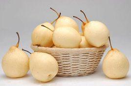 中國鴨梨之鄉 中國鴨梨之鄉