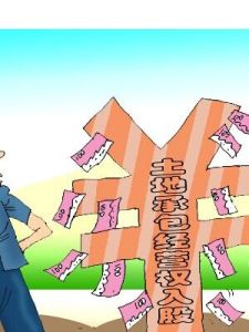 農村土地承包經營權 農村土地承包經營權