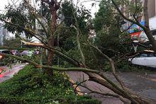 強颱風天鴿重創珠海