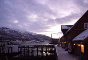 東福爾郡 東福爾郡