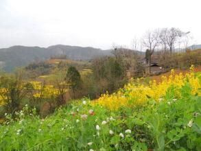 新周場村 新周場村