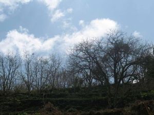 下草皮村 下草皮村