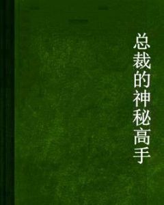 總裁的神秘高手 總裁的神秘高手
