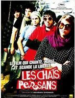 《無人熟識貓人》 《無人熟識貓人》