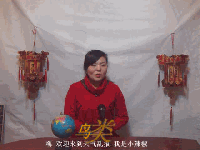 天氣亂報 天氣亂報