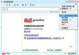 有道翻譯 有道翻譯