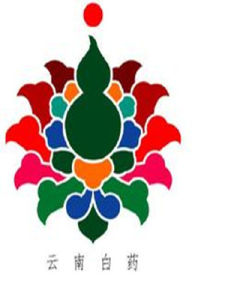 雲南白藥事件 雲南白藥事件