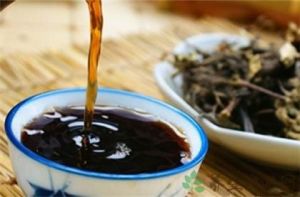 三甲復脈湯 三甲復脈湯