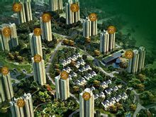 白樺林間效果圖